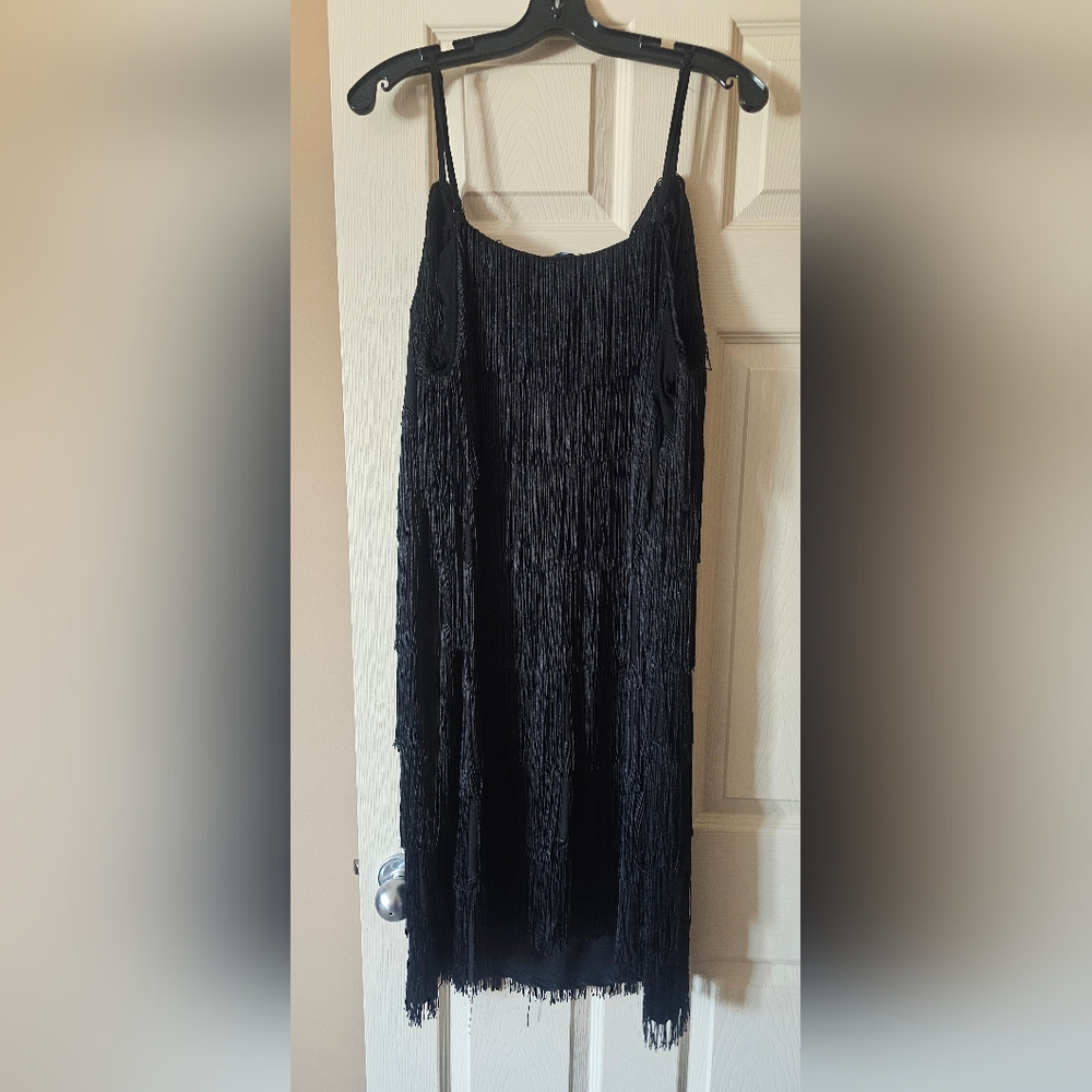 Elegant Black Fringe dress